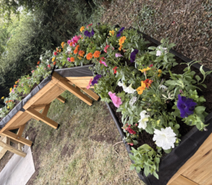 NCCN Connection Corner Planters